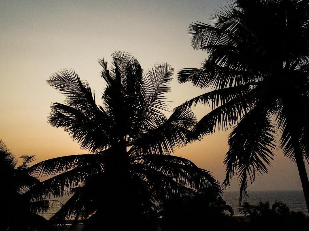 Cheap huts in north Goa